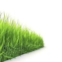 green grass field isolated on white background, generate ai photo