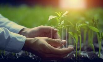 agrícola tecnologías para creciente plantas y científico investigación en el campo de biología y química de naturaleza. vivo verde brote en el manos de un agricultor, generar ai foto