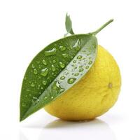 Citrus Lemon leaf with water drops isolated on white background, generate ai photo