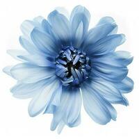 Blue flower isolated on white background, png with transparency , generate ai photo