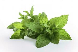 fresh green mint leaves isolated on white background, top view. Flat lay, generate ai photo