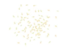 Top view of white sesame seeds scatter over the cut out background, flat vector. vector