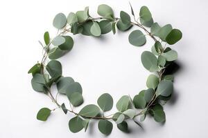 Wreath made of eucalyptus branches. Green floral frame made of eucalyptus leaves. Decorative wreath isolated on white. Minimal natural composition, botanical design, flat lay, top view. photo