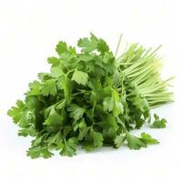 fresh cilantro coriander isolated on white background, generate ai photo