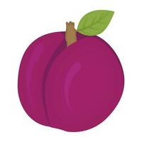 A fresh juicy fruit with a leaf depicting plum vector