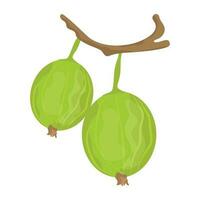 A pair of fresh round shaped fruit hanging from a stem depicting passion fruit vector