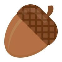 Solid nut from oats family is designing an icon for acorn vector