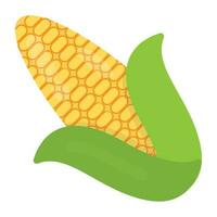 Cartoon style icon for corn on the cob is presented here vector