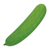 Long green vegetable with dots on skin denoting cucumber icon vector