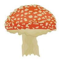 Umbrella shaped tree like vegetable is making graphic for mushroom vector