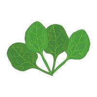 green leaves with veins placed in a group to picture spinach leaves icon vector