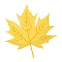 An autumn leaf structure for maple leaf icon vector