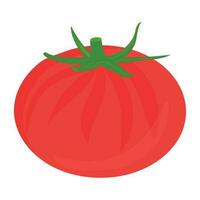 Round red circle with green crown, tomato icon vector