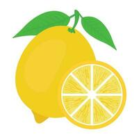 Yellow vegetable with green leaves placed in raw form to denote lemon icon vector