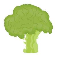 Tree shaped vegetable is showing broccoli icon vector