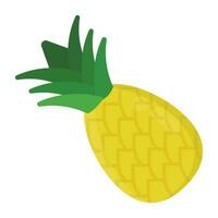 A fruit with conifer tree like crust and green leafs on the edge, icon for pineapple vector