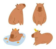 Vector set of funny capybaras in flat design. Amusing capibara characters. Cute capybaras swimming in water and relaxing. South American adorable animal collection.