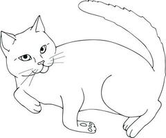 Hand drawn cat posing contour isolated on white background. Hand drawn cat. Sketch. Vector art