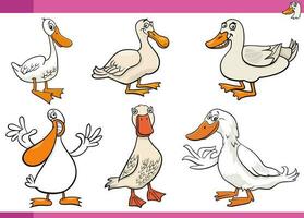 cartoon ducks farm birds comic characters set vector