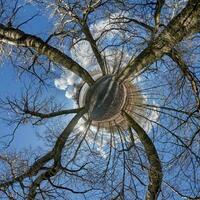 Little planet spherical panorama 360 degrees. Spherical aerial view  in blooming apple garden orchard with dandelions. Curvature of space photo