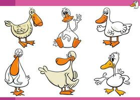 cartoon ducks farm birds comic characters set vector