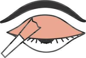 Peach And Gray Apply Eyeshadow Icon. vector