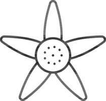 Black Stroke Star Flower Flat Icon. vector