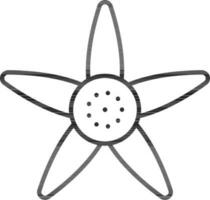 Black Stroke Star Flower Flat Icon. vector