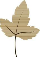 Olive Maple Leaf On White Background. vector