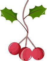 Holly Berries Branch Element In Red And Green Color. vector