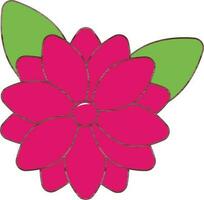 Pink Color Daisy Flower With Green Leaf Icon. vector