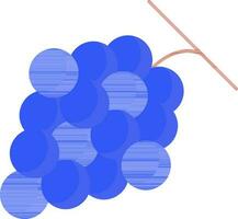 Blue Grapes Icon On White Background. vector