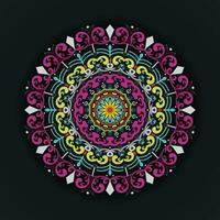 Luxury multicolor mandala background design vector