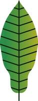 mango hoja icono en verde color. vector