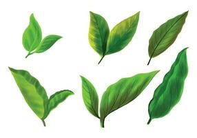 Realistic tropical plants green leaf set design vector