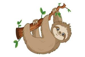 Sloth hanging on tree branch status vector