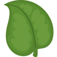 leaf ecological sustainability icon isolated png