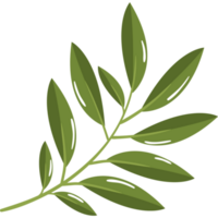 branch leaves icon png