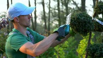 jardinier garniture les plantes en utilisant grand les ciseaux video