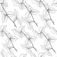 Seamless pattern, tree branch. Hand-drawn botanic pattern for fabric, wallpaper. vector