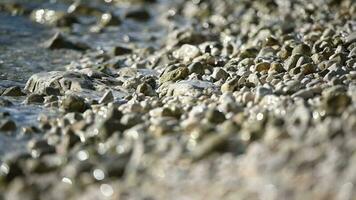 oceano água lavando seixo de praia pedras video