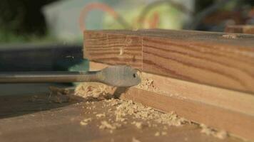 cerca arriba de perforar haciendo agujero en de madera tablero. video