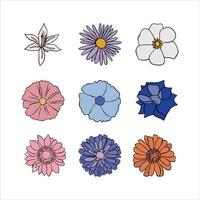 Late Summer Flower Illustration Vector Set