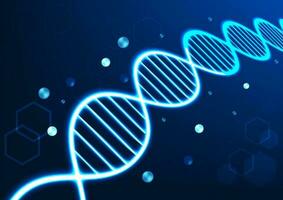 DNA molecular structure technology background shows the connection of the DNA structure for information used in medicine Suitable for poster work and work related to science vector