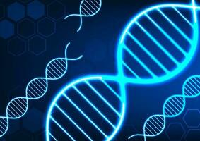 DNA molecular structure technology background shows the connection of the DNA structure for information used in medicine Suitable for poster work and work related to science vector