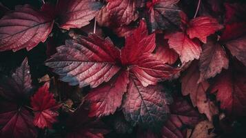 vistoso estacional otoño antecedentes patrón, vibrante alfombra de caído bosque hojas, generar ai foto