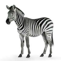 Zebra isolated on white background, generate ai photo