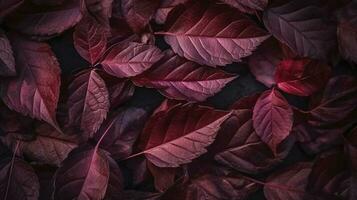 vistoso estacional otoño antecedentes patrón, vibrante alfombra de caído bosque hojas, generar ai foto