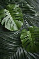 tropical palma monstera hojas aislado en gris mesa antecedentes. , generar ai foto