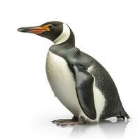 Penguin isolated on white background, generate ai photo